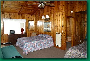 One Bedroom Large Photo 3