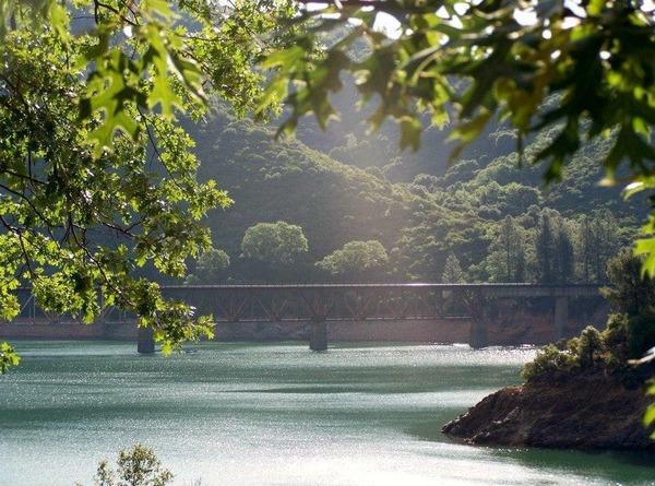 LV Medium One Bedroom Cabins Photo 2