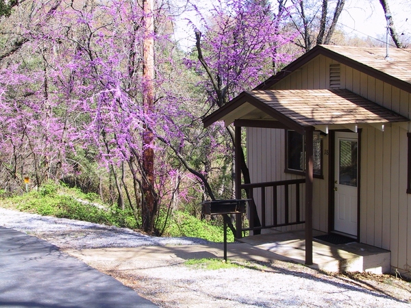 LV Medium One Bedroom Cabins Photo 1